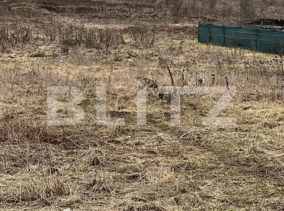 Teren de vânzare Livezeni - 109501TV | BLITZ Târgu Mureș | Poza1