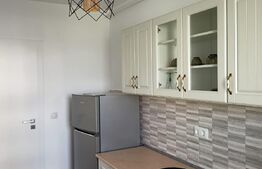 Apartament 1 camera, 39mp, Maurer Residence