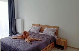 Apartament 1 camera, 39mp, Maurer Residence
