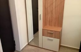Apartament 1 camera, 39mp, Maurer Residence