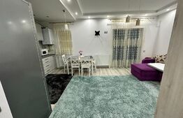 Apartament cu 1 cameră, parter, 38 mp, bloc nou, Unirii