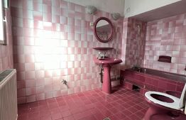 Casa mare cu curte, zona Centrala