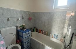 Casa 4 camere, 290mp utili, zona Unirii