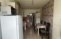 Casa 4 camere, 290mp utili, zona Unirii