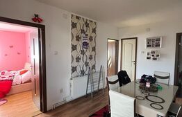 Casa 4 camere, 290mp utili, zona Unirii