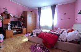 Casa 4 camere, 290mp utili, zona Unirii