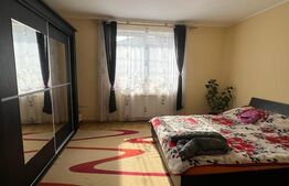 Casa 4 camere, 290mp utili, zona Unirii