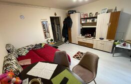 Investitie! Apartamenent cu o camera, zona Tudor