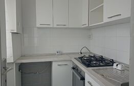 Apartament 34 mp Dambu , 2 camere 