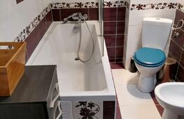 Apartament 2 camere 50 mp Dambu