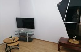 Apartament 2 camere 50 mp Dambu