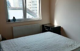 Apartament 2 camere 50 mp Dambu