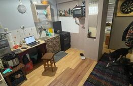 Apartament cu 1 camera, 33mp, zona Dambu