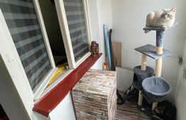 Apartament cu 1 camera, 33mp, zona Dambu