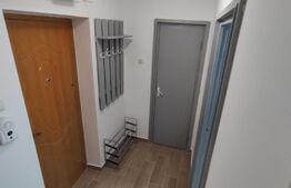 Apartament 2 camere , renovat modern Dambu 47 mp