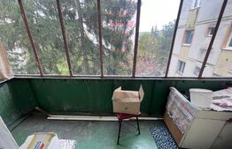 Apartament cu 3 camere, etaj intermediar, zona Dambu