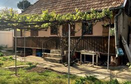 Casa cu 1 camera, cu teren, 689 mp