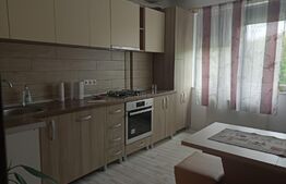 Apartament cu 2 camere , dec. 60 mp Dambu 