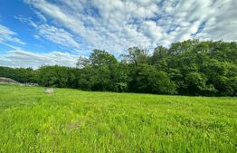 Oportunitate !! Teren intravilan , 2886 mp Corunca 