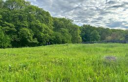 Oportunitate !! Teren intravilan , 2886 mp Corunca 