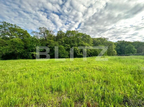 Teren de vânzare Corunca - 116044TV | BLITZ Târgu Mureș | Poza1