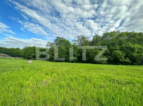 Teren de vânzare Corunca - 116044TV | BLITZ Târgu Mureș | Poza2