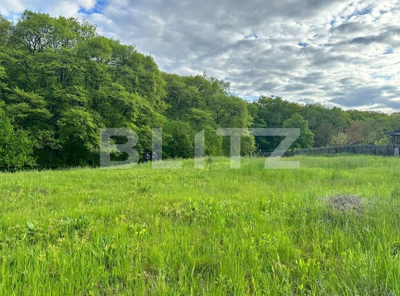 Teren de vânzare Corunca - 116044TV | BLITZ Târgu Mureș | Poza3