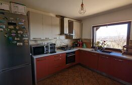 Casa cu 3 dormitoare, 142 mp utili, 460 mp teren