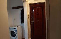 Apartament cu 1 camera, pet friendly, Semicentral