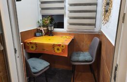 Apartament cu 1 camera, pet friendly, Semicentral