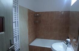 Apartament cu 1 camera, pet friendly, Semicentral