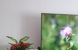 Apartament cu 1 camera, pet friendly, Semicentral