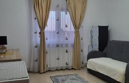 Apartament cu 1 camera, pet friendly, Semicentral