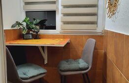 Apartament cu 1 camera, pet friendly, Semicentral
