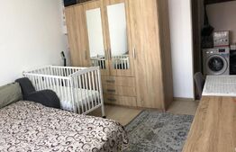 Apartament cu 1 camera, pet friendly, Semicentral