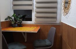 Apartament cu 1 camera, pet friendly, Semicentral