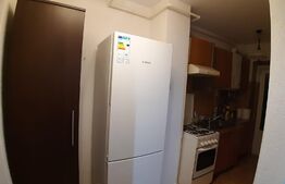 Apartament cu 1 camera, pet friendly, Semicentral