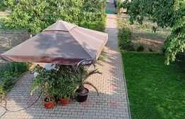 2 Case pe o curte comuna, Sangeorgiu de Mures