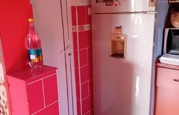 2 Case pe o curte comuna, Sangeorgiu de Mures