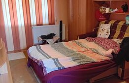 2 Case pe o curte comuna, Sangeorgiu de Mures