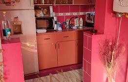 2 Case pe o curte comuna, Sangeorgiu de Mures