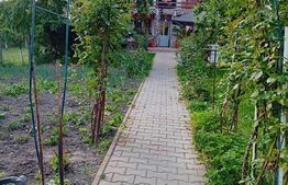 2 Case pe o curte comuna, Sangeorgiu de Mures