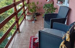 2 Case pe o curte comuna, Sangeorgiu de Mures