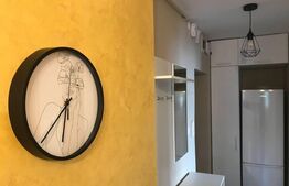 Apartament 2 camere, Cornisa