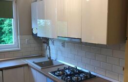 Apartament 2 camere, Cornisa