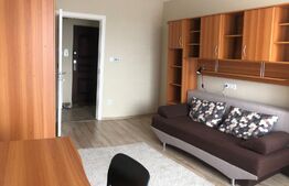 Apartament 2 camere, Cornisa