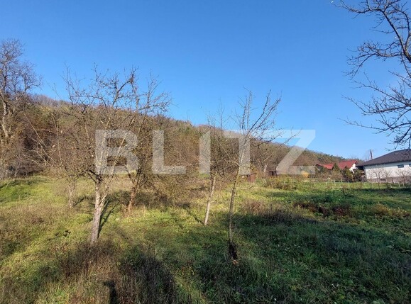 Teren de vânzare Corunca - 117720TV | BLITZ Târgu Mureș | Poza1