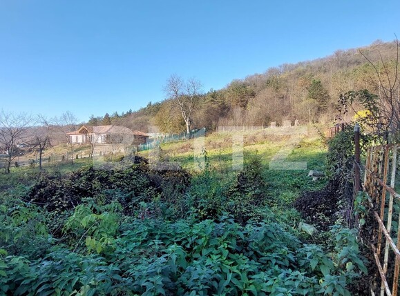 Teren de vânzare Corunca - 117720TV | BLITZ Târgu Mureș | Poza3