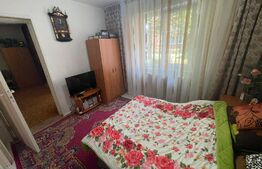 Apartament 2 camere, parter, 48mp, zona Dambu