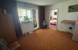 Apartament 2 camere, parter, 48mp, zona Dambu